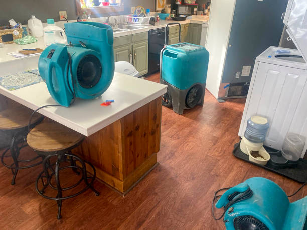 Best Water damage cleanup near me  in Huntington Station, NY