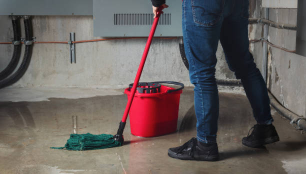 Best Mold removal after water damage  in Huntington Station, NY